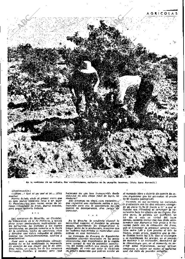 ABC MADRID 04-10-1963 página 41