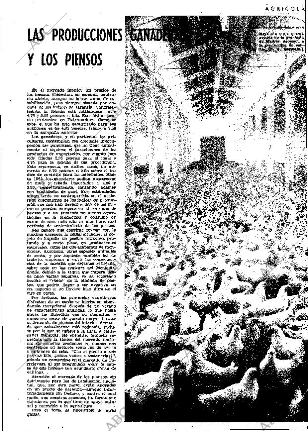 ABC MADRID 18-10-1963 página 23