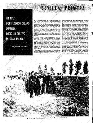 ABC SEVILLA 08-11-1963 página 24