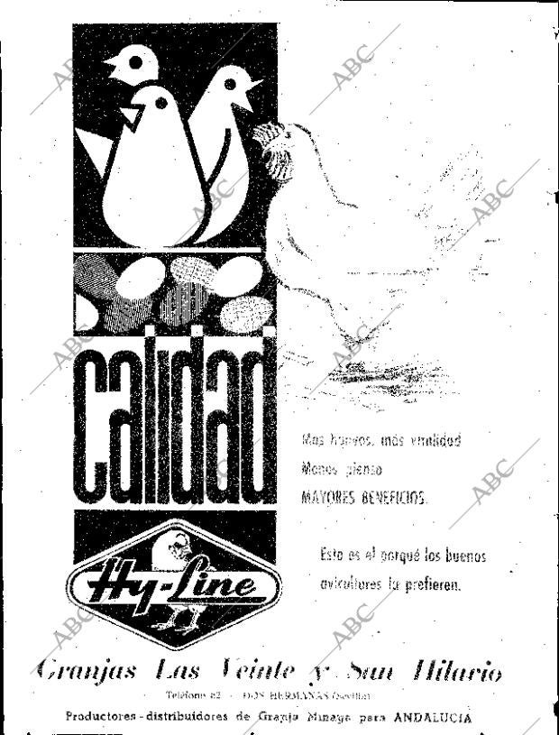 ABC SEVILLA 08-11-1963 página 26