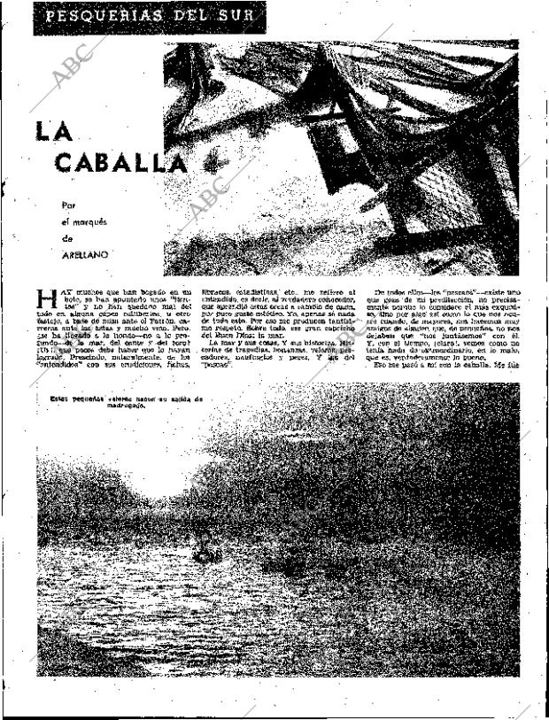 ABC SEVILLA 22-11-1963 página 19