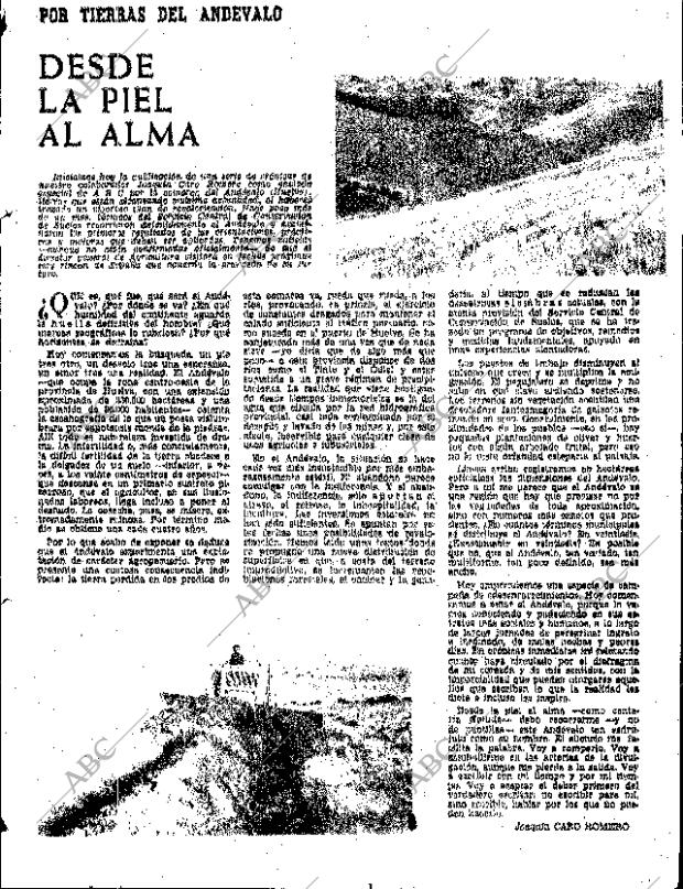 ABC SEVILLA 11-12-1963 página 19