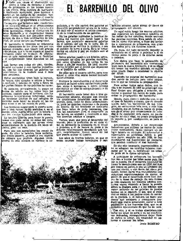 ABC SEVILLA 28-12-1963 página 43