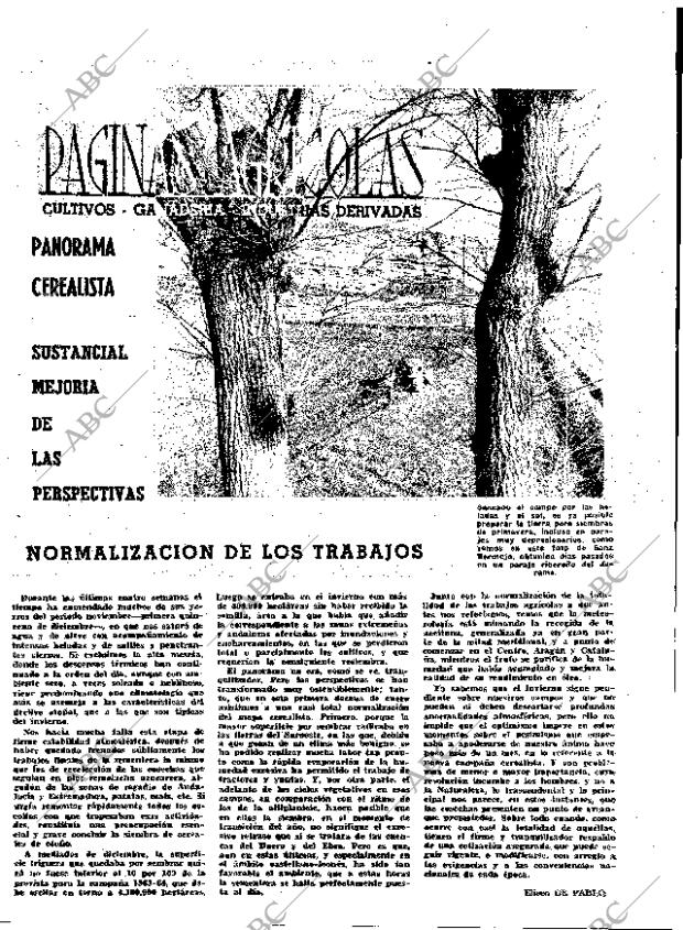 ABC MADRID 10-01-1964 página 15