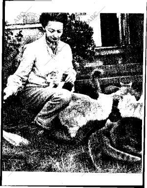 BLANCO Y NEGRO MADRID 11-01-1964 página 102