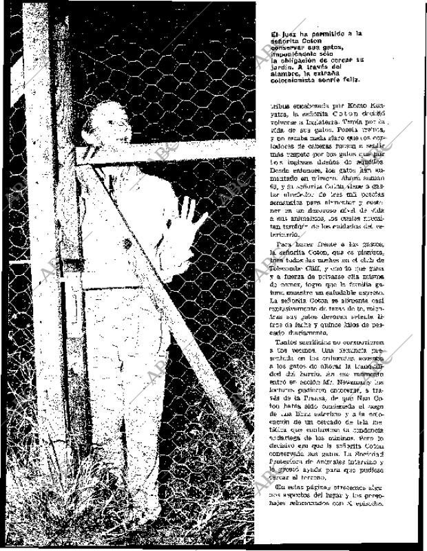 BLANCO Y NEGRO MADRID 11-01-1964 página 104