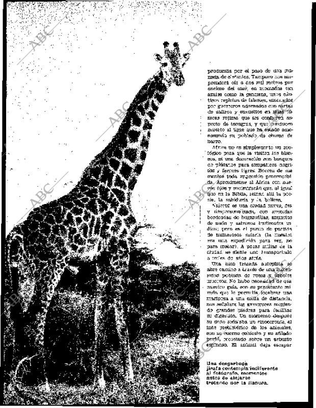 BLANCO Y NEGRO MADRID 11-01-1964 página 52