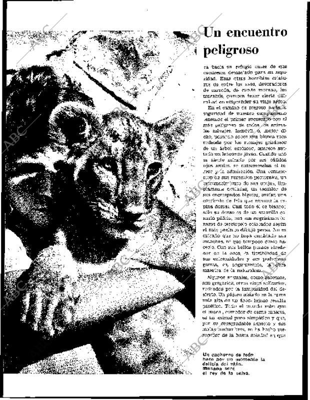 BLANCO Y NEGRO MADRID 11-01-1964 página 54