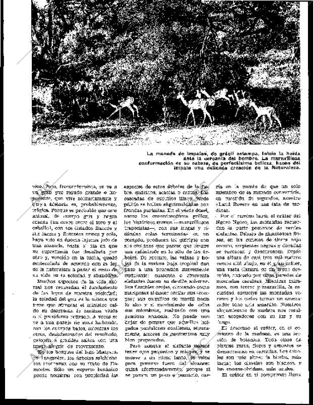 BLANCO Y NEGRO MADRID 11-01-1964 página 55