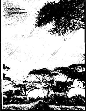 BLANCO Y NEGRO MADRID 11-01-1964 página 57