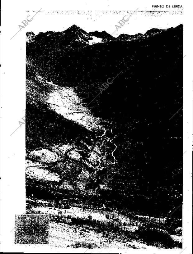 ABC SEVILLA 12-01-1964 página 7