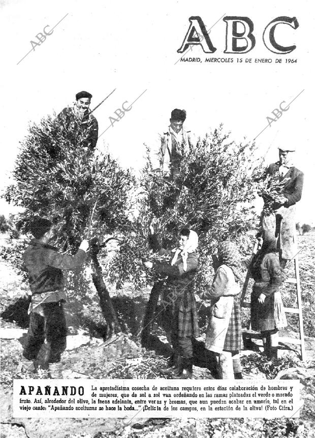 ABC MADRID 15-01-1964 página 1