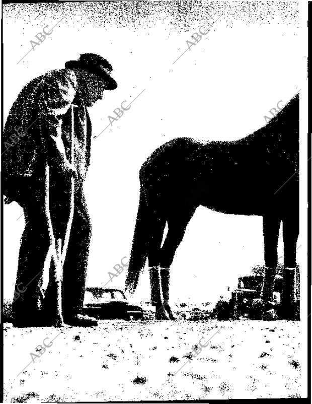 BLANCO Y NEGRO MADRID 18-01-1964 página 58