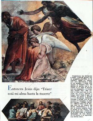 BLANCO Y NEGRO MADRID 18-01-1964 página 85