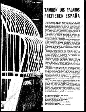 BLANCO Y NEGRO MADRID 08-02-1964 página 51