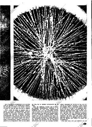 ABC MADRID 25-02-1964 página 17