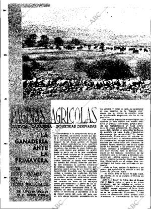 ABC MADRID 13-03-1964 página 24