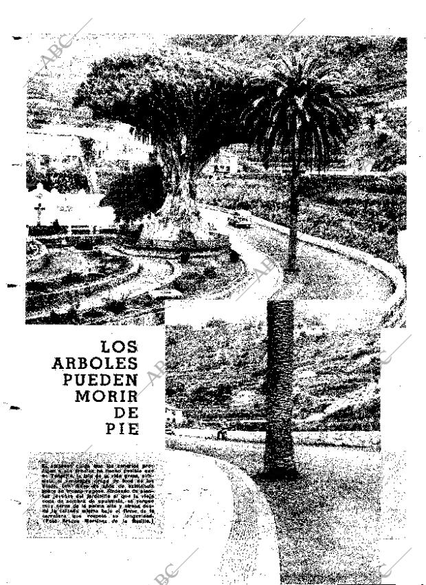 ABC MADRID 05-05-1964 página 20