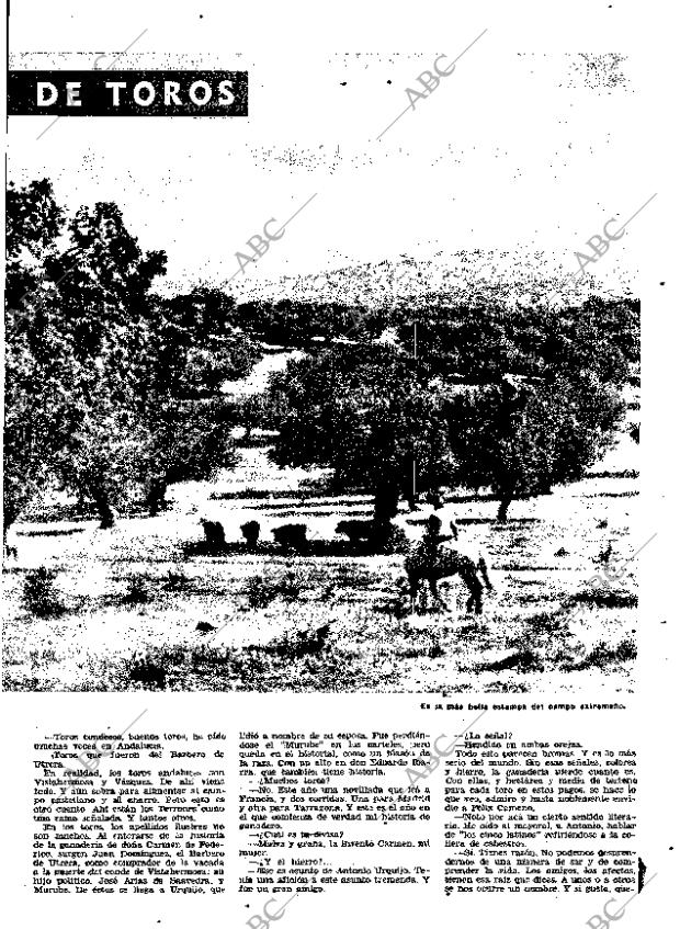 ABC MADRID 05-05-1964 página 25