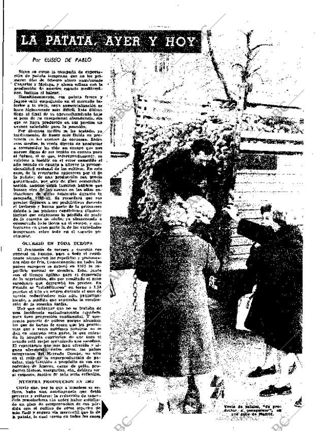 ABC MADRID 08-05-1964 página 19