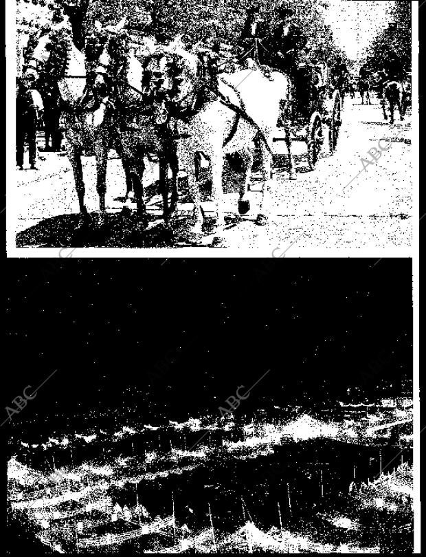 BLANCO Y NEGRO MADRID 09-05-1964 página 18