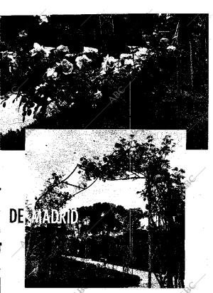 ABC MADRID 12-05-1964 página 27