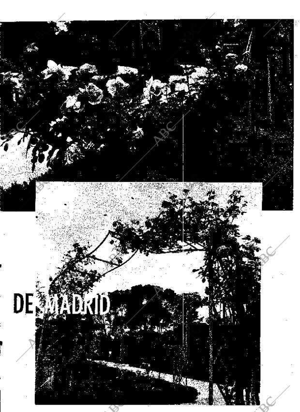 ABC MADRID 12-05-1964 página 27