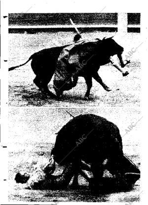 ABC MADRID 21-05-1964 página 14