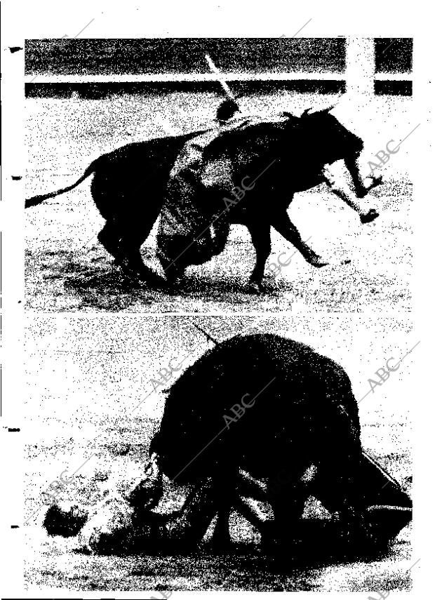 ABC MADRID 21-05-1964 página 14