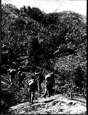 BLANCO Y NEGRO MADRID 23-05-1964 página 8