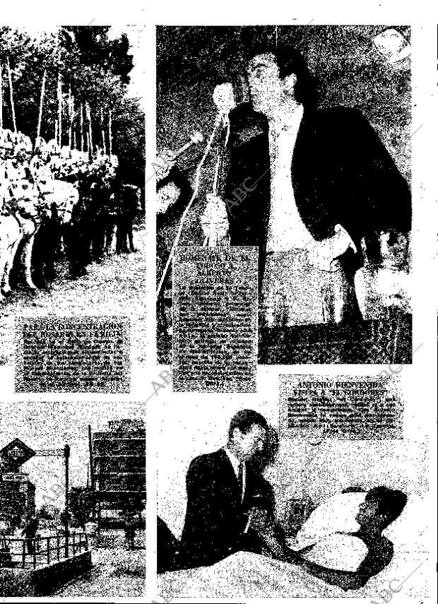 ABC MADRID 24-05-1964 página 61
