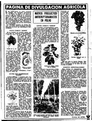 ABC SEVILLA 24-05-1964 página 53