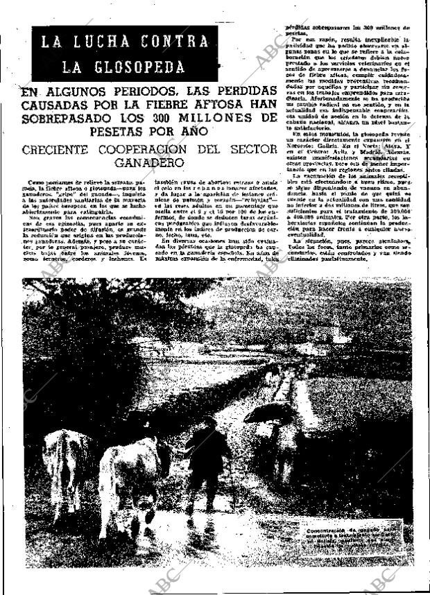 ABC MADRID 03-07-1964 página 28