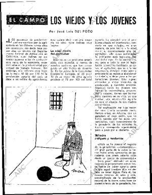 BLANCO Y NEGRO MADRID 25-07-1964 página 124