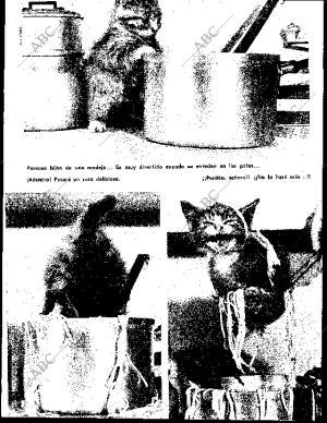 BLANCO Y NEGRO MADRID 25-07-1964 página 83