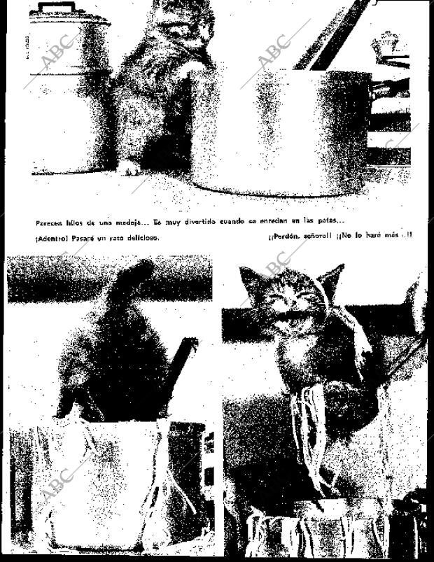 BLANCO Y NEGRO MADRID 25-07-1964 página 83