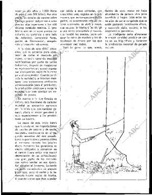 BLANCO Y NEGRO MADRID 08-08-1964 página 125