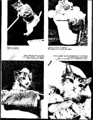 BLANCO Y NEGRO MADRID 08-08-1964 página 93