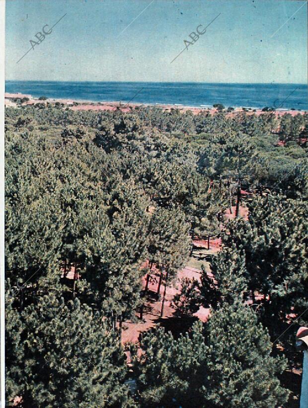 BLANCO Y NEGRO MADRID 22-08-1964 página 49