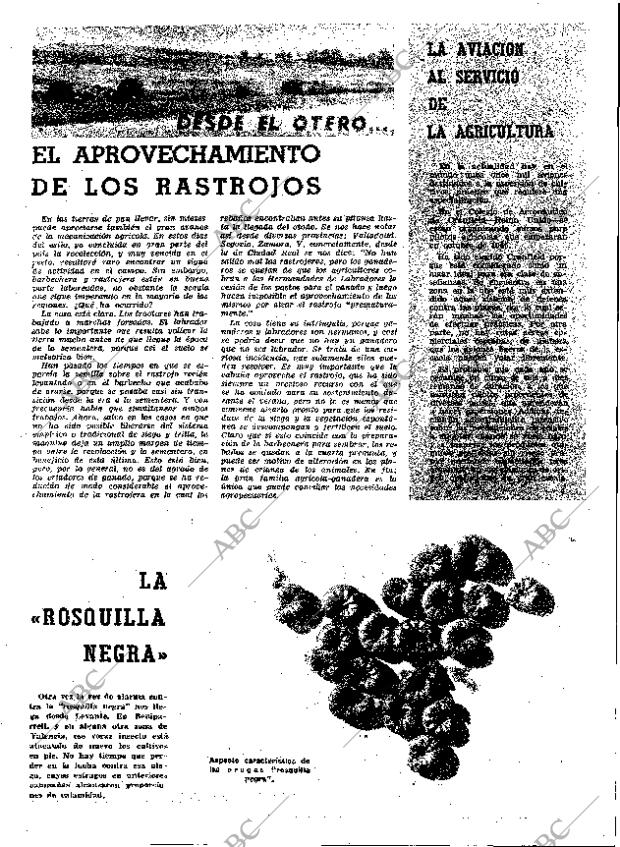 ABC MADRID 28-08-1964 página 17