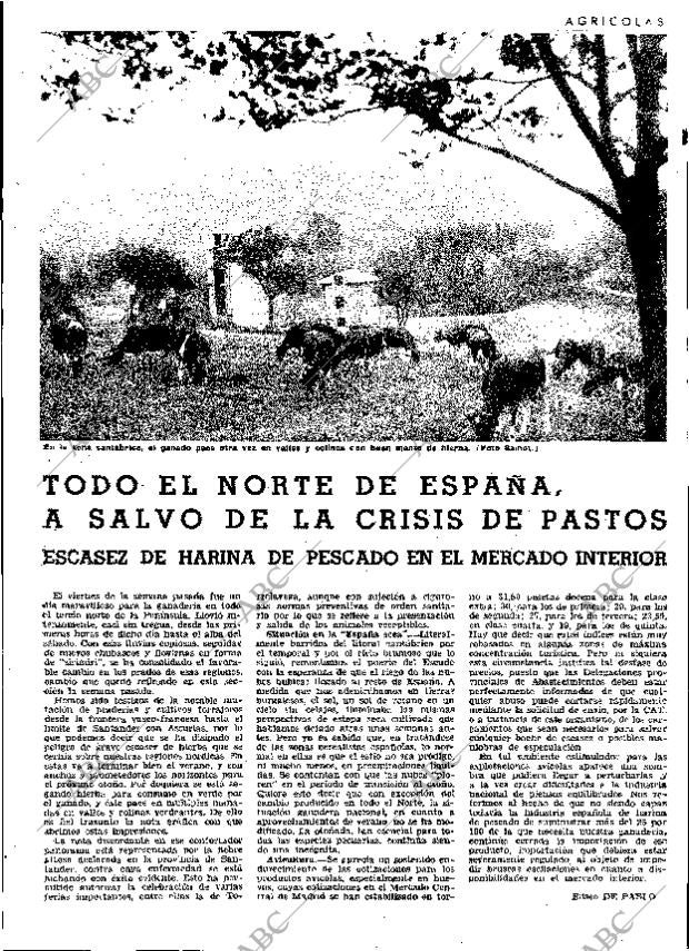 ABC MADRID 11-09-1964 página 19