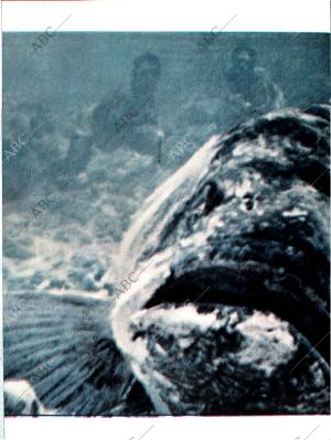 BLANCO Y NEGRO MADRID 12-09-1964 página 10