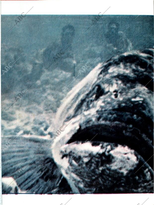 BLANCO Y NEGRO MADRID 12-09-1964 página 10