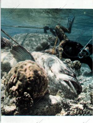 BLANCO Y NEGRO MADRID 12-09-1964 página 15