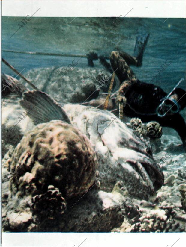 BLANCO Y NEGRO MADRID 12-09-1964 página 15