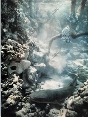 BLANCO Y NEGRO MADRID 12-09-1964 página 19