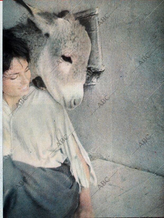 BLANCO Y NEGRO MADRID 12-09-1964 página 26