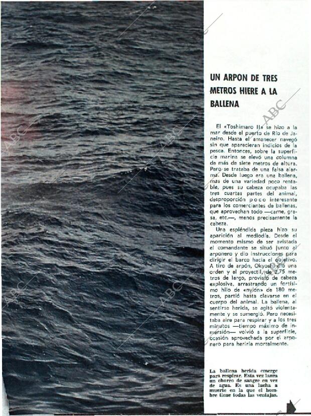 BLANCO Y NEGRO MADRID 10-10-1964 página 71