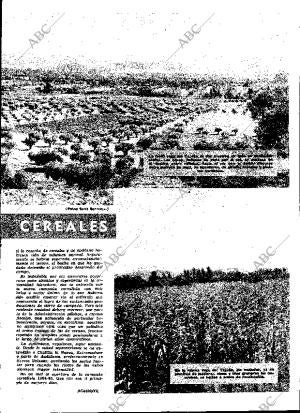 ABC MADRID 16-10-1964 página 25