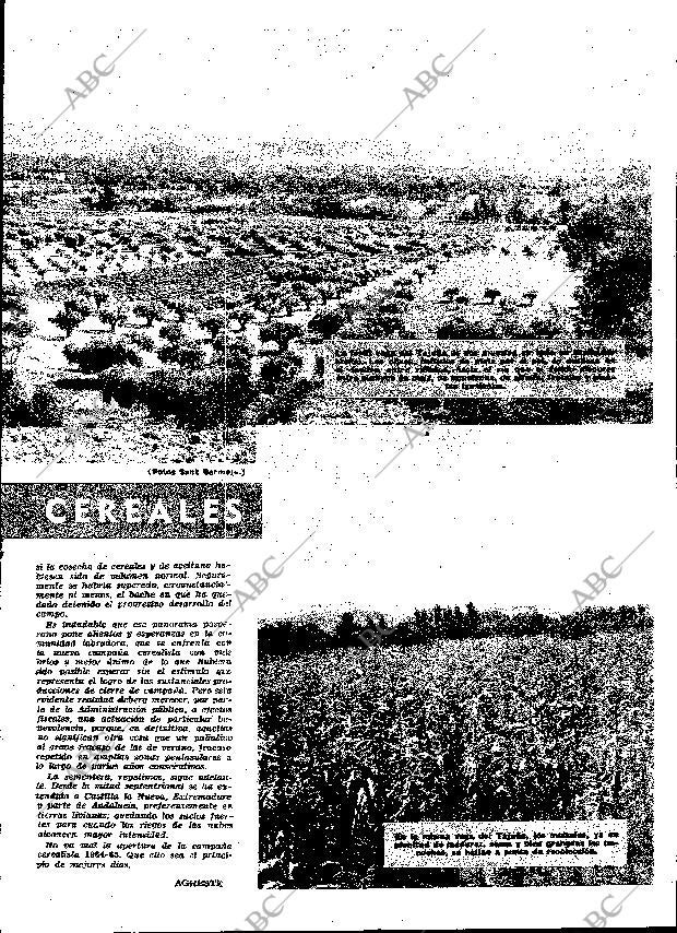 ABC MADRID 16-10-1964 página 25